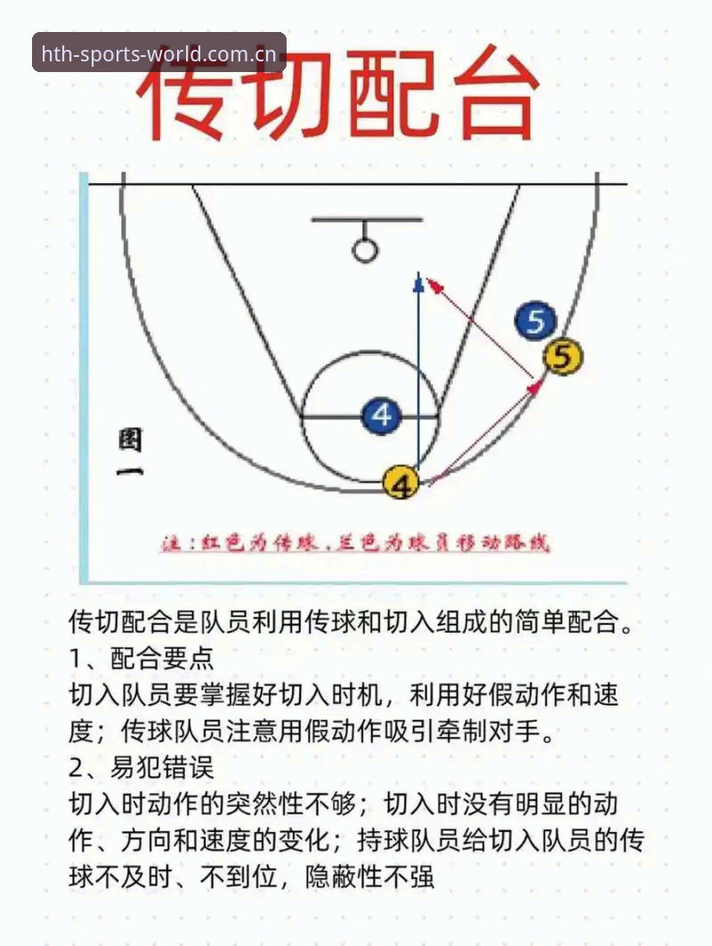 华体会篮球数据手机版操作教程：从零基础到实战高手的完整指南